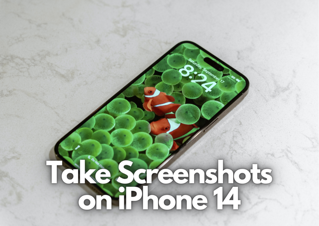 How to Take a Screenshot on iPhone 14? 